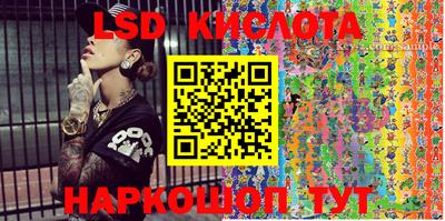 индика Кандалакша