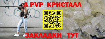 индика Кандалакша