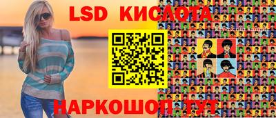индика Кандалакша