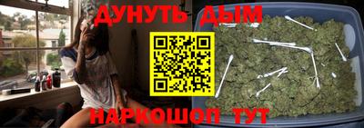 индика Кандалакша