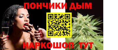индика Кандалакша