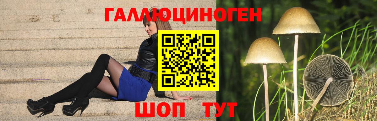 Галлюциногенные грибы MAGIC MUSHROOMS  Вход с VPN  Дубна 